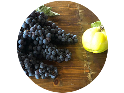 Wein/ Trauben